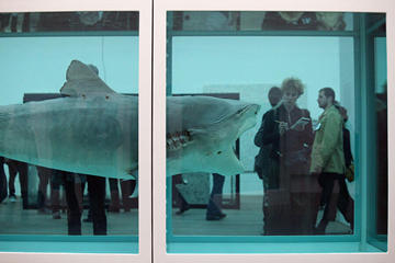 damien-hirst-shark-1_副本.jpg